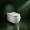 VONDDW P-Trap 180mm D-Shape Rimless Tornado Flush Wall-Hung Toilet (1) VONDDW P-Trap 180mm D-Shape Rimless Tornado Flush Wall-Hung Toilet