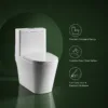 VONDDW S-Trap 300mm Curved Skirted Siphonic Flush One-piece Toilet (1) VONDDW S-Trap 300mm Curved Skirted Siphonic Flush One-piece Toilet