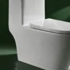 VONDDW S-Trap 300mm Curved Skirted Siphonic Flush One-piece Toilet (3) VONDDW S-Trap 300mm Curved Skirted Siphonic Flush One-piece Toilet