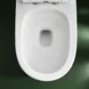 VONDDW S-Trap 300mm Curved Skirted Siphonic Flush One-piece Toilet (4) VONDDW S-Trap 300mm Curved Skirted Siphonic Flush One-piece Toilet