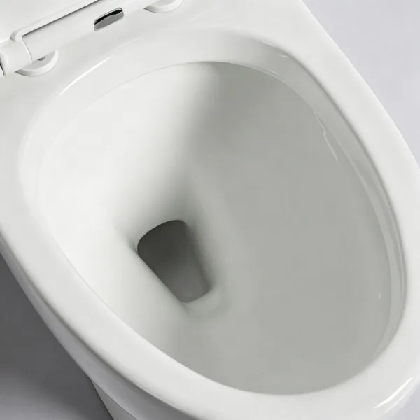 VONDDW S-trap 300mm Siphonic Egg-Shaped Glossy White Luxury One-piece Ceramic Toilet (2) VONDDW S-trap 300mm Siphonic Egg-Shaped Glossy White Luxury One-piece Ceramic Toilet