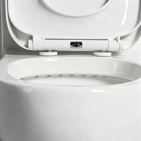 VONDDW S-trap 300mm Siphonic Egg-Shaped Glossy White Luxury One-piece Ceramic Toilet (3) VONDDW S-trap 300mm Siphonic Egg-Shaped Glossy White Luxury One-piece Ceramic Toilet