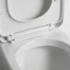 مرحاض سيراميكي من قطعة واحدة من طراز VONDDW SP-Trap، متعدد الاستخدامات، مقاوم للرش، أبيض لامع، بنظام شطف مزدوج (1) مرحاض سيراميكي من قطعة واحدة من طراز VONDDW S/P-Trap، قابل للغسل بالماء بشكل عام، أبيض لامع، بنظام شطف مزدوج، متعدد التوصيلات
