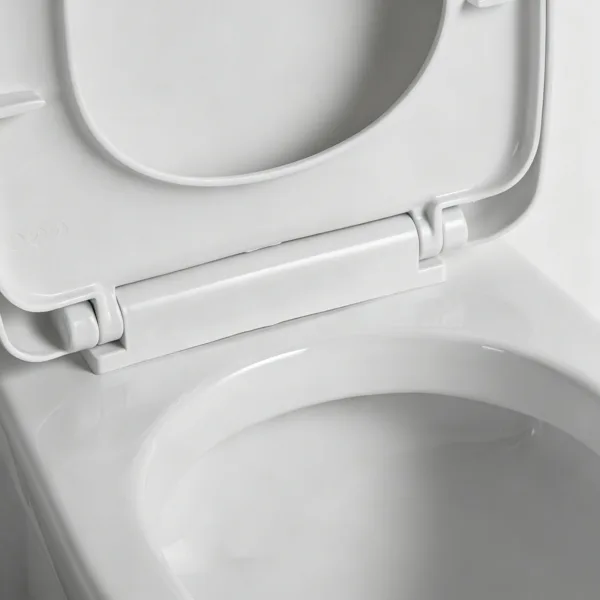 مرحاض سيراميكي من قطعة واحدة من طراز VONDDW SP-Trap، متعدد الاستخدامات، مقاوم للرش، أبيض لامع، بنظام شطف مزدوج (1) مرحاض سيراميكي من قطعة واحدة من طراز VONDDW S/P-Trap، قابل للغسل بالماء بشكل عام، أبيض لامع، بنظام شطف مزدوج، متعدد التوصيلات
