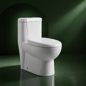 VONDDW S/P-Trap Universal Washdown Glossy White Dual Flush Multi-Fitting One-piece Ceramic Toilet